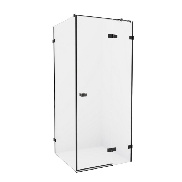 Душевое ограждение 100x120x200, New trendy Avexa black, черный арт. EXK-1595