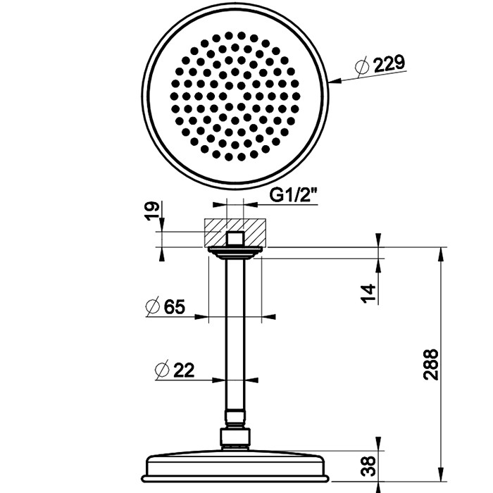 Gessi Верхний душ d20см., с потолочным держателем 28.8см., Venti20, 65152#720 цвет: nickel pvd