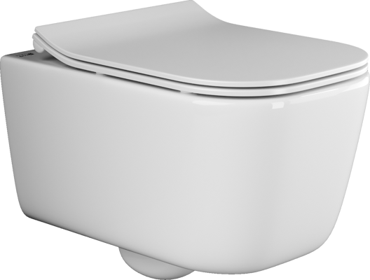 Ceramicanova подвесной унитаз с сиденьем new day, cn3005 цвет: белый