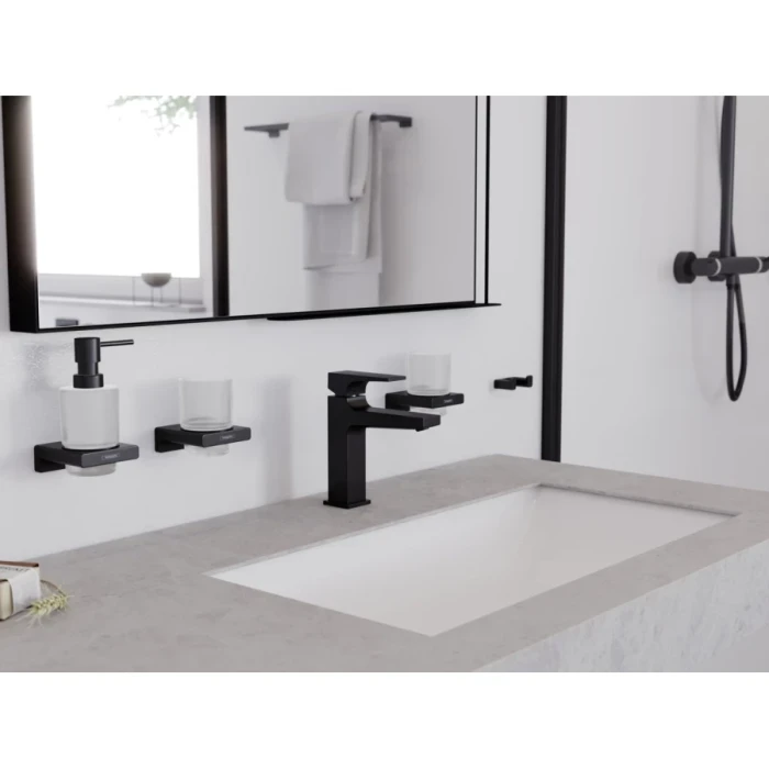 Hansgrohe крючок двойной, AddStoris, черный арт. 41755670