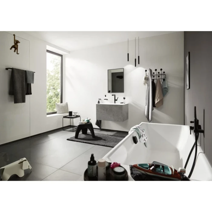Hansgrohe крючок двойной, AddStoris, черный арт. 41755670
