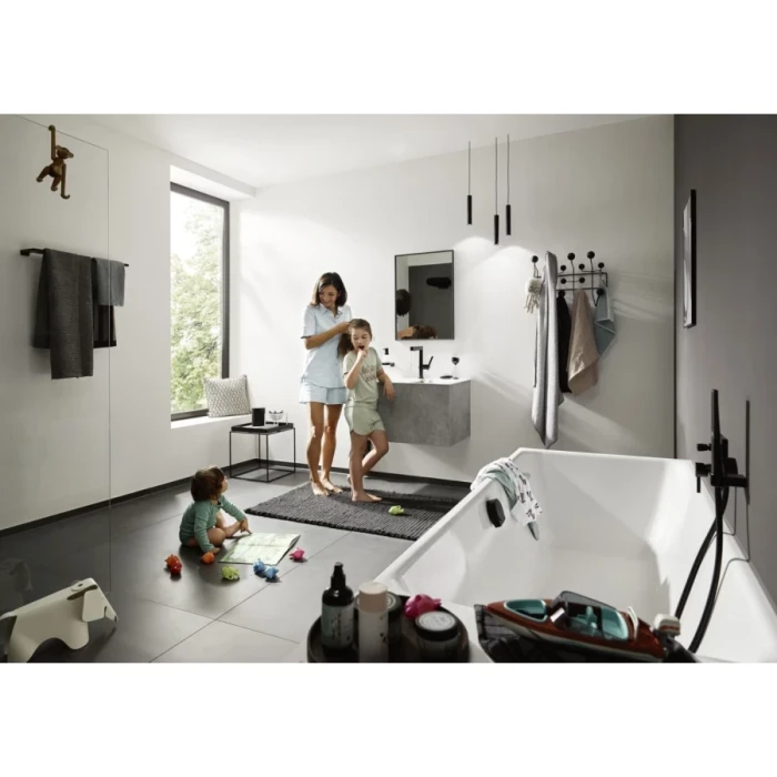 Hansgrohe крючок двойной, AddStoris, черный арт. 41755670