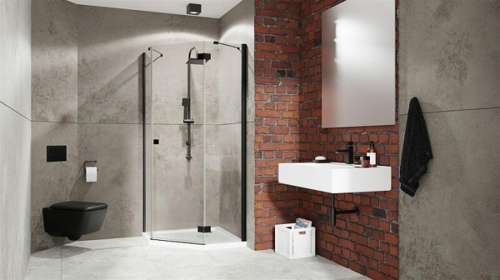 Radaway душевая дверь ptj 60 l профиль черный стекло прозрачное, Essenza New - 385010-54-01L