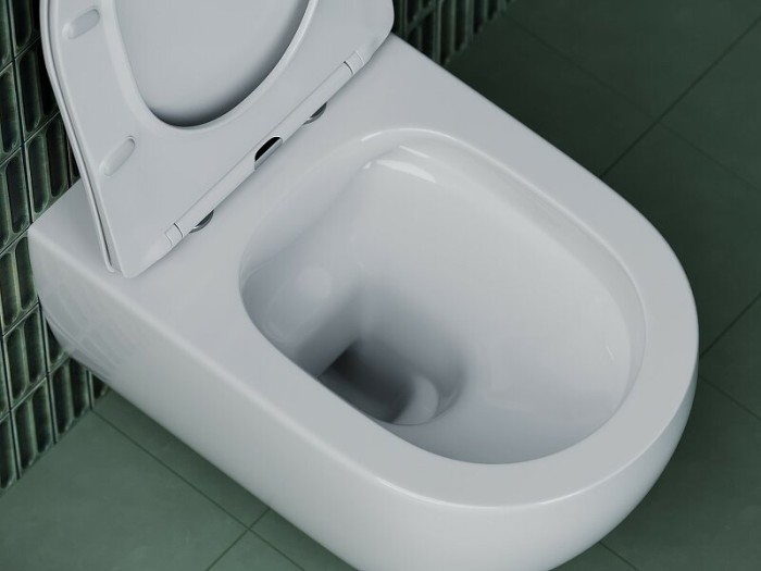 Ceramicanova подвесной унитаз с сиденьем long, cn3015 цвет: белый