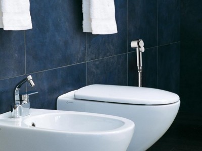 Bossini гигиеническая лейка, paloma, хром арт. c98001b.030