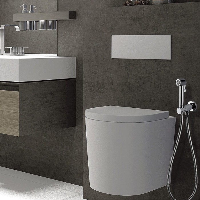 Bossini комплект гигиенический с прогрессивным смесителем с лейкой и шлангом, paloma brass, хром арт. e37007b.030