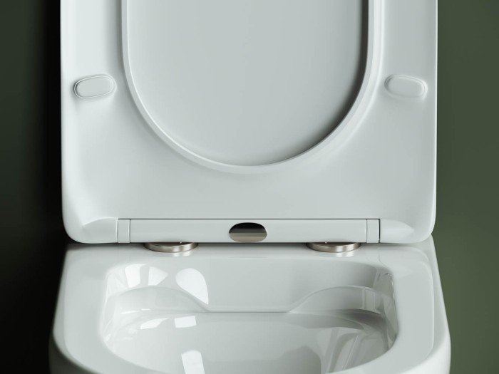 Ceramicanova подвесной унитаз с сиденьем highlight, cn1804 цвет: белый