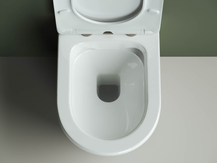 Ceramicanova подвесной унитаз с сиденьем highlight, cn1804 цвет: белый