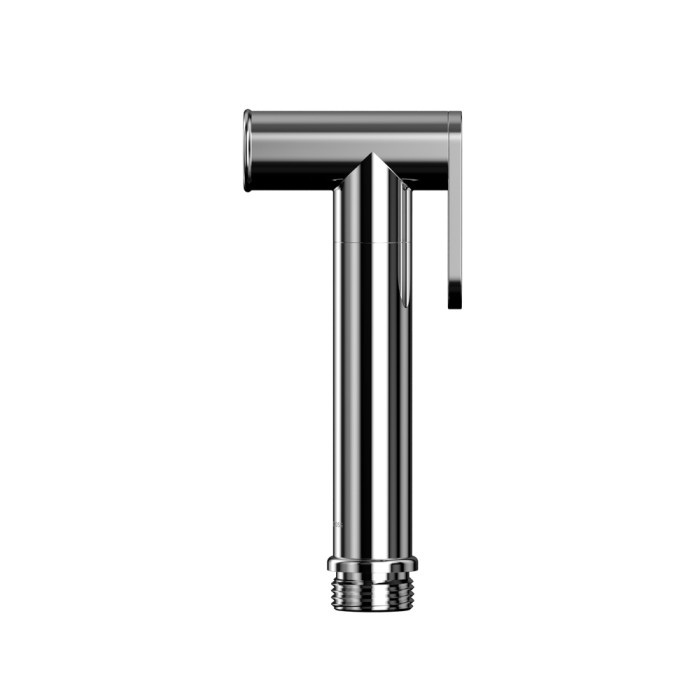 Лейка для биде, Whitecross Y chrome, хром арт. BIDETTA-CR