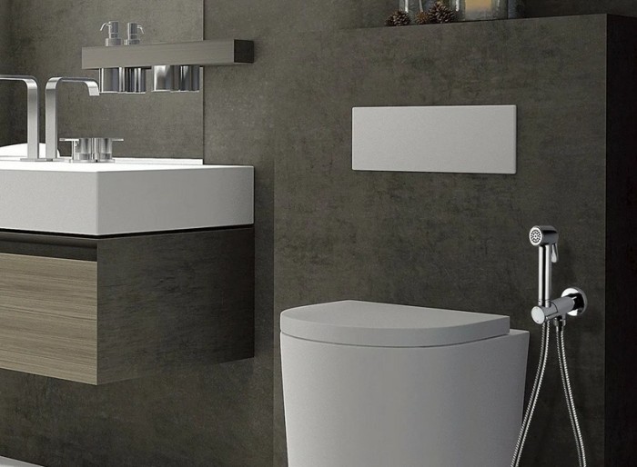 Bossini комплект гигиенический с прогрессивным смесителем с лейкой и шлангом, paloma brass, латунь арт. e37005b.029