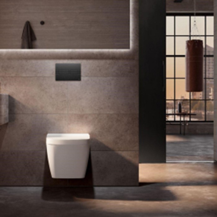 TECE панель смыва с двойной системой смыва для унитаза, графит, solid - 9240438